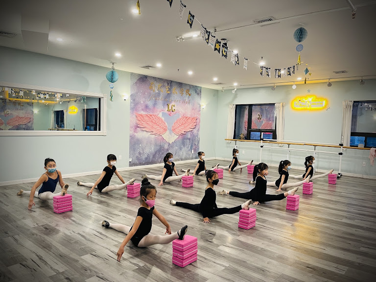 Flushing Dance Club — Dance venue in Flushing, New York