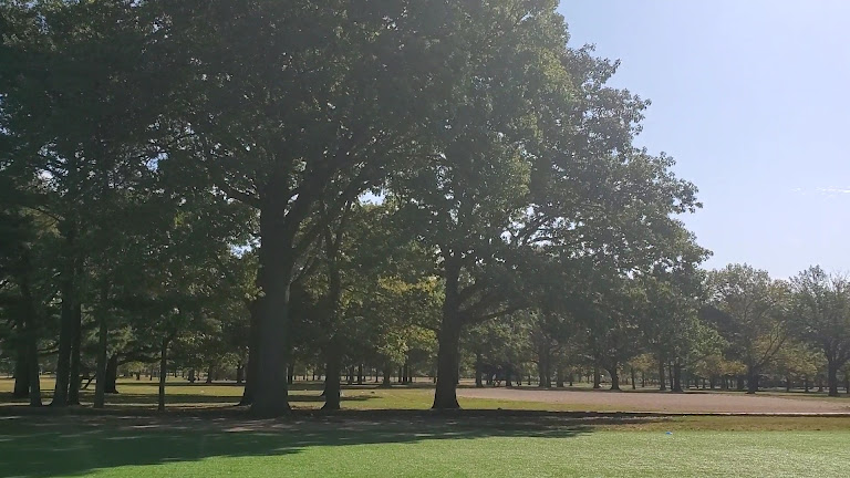 Flushing Meadows Corona Park: Soccer Field #1 — Flushing, New York (3)