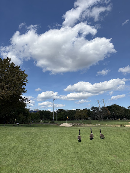 Flushing Meadows Pitch & Putt