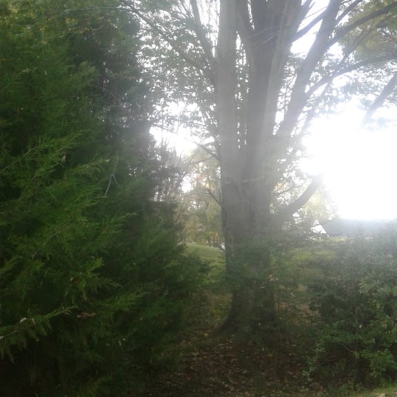 Ford’s Colony – Westbury Pool