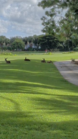 Forest Glen Golf & Country Club — Naples, Florida (2)