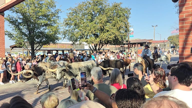 Fort Worth Stockyards Stables and Horseback Riding — Fort Worth, Texas (3)