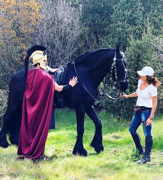 Four Legs On Set — Equestrian venue in Burbank, California