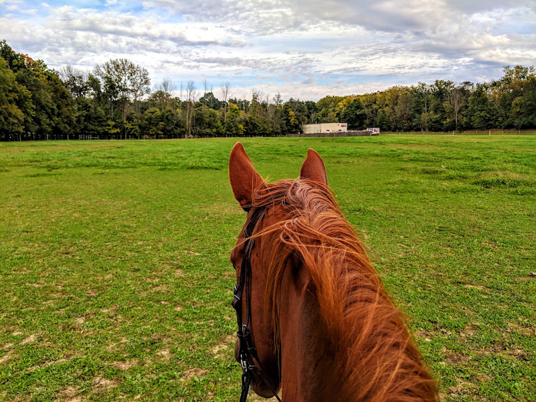 Genesis Equestrian Center, Inc.