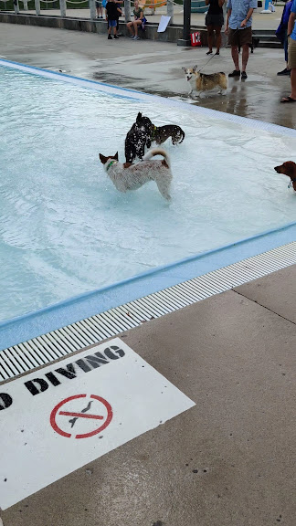 Gladstone Municipal Pool — Gladstone, Missouri (3)