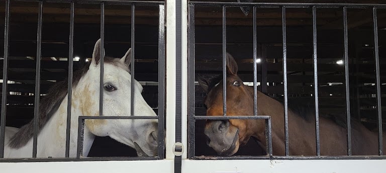 Glen Grove Equestrian Center
