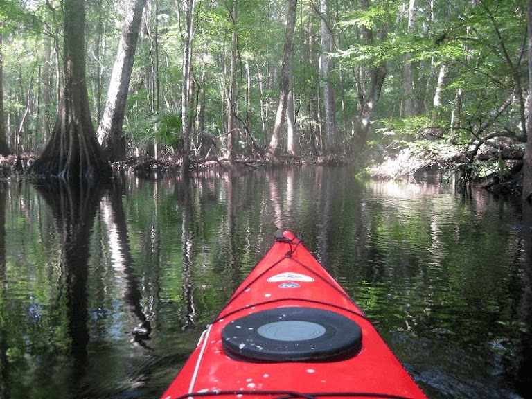 Go Kayaking Tours — Melbourne, Florida (2)