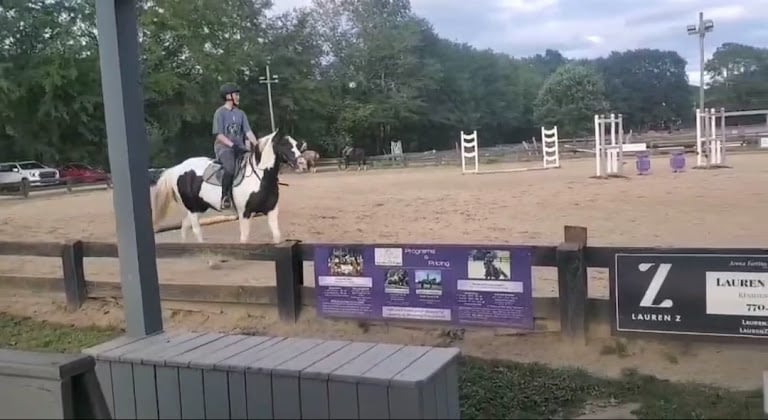 Go With It Farm - Huntcliff/Sandy Springs — Sandy Springs, Georgia (2)