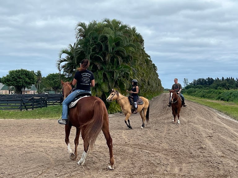 Golden Gait Riding Stables — Delray Beach, Florida (2)