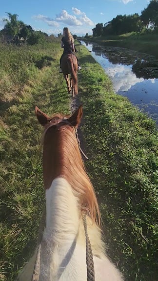 Golden Gait Riding Stables — Delray Beach, Florida (3)