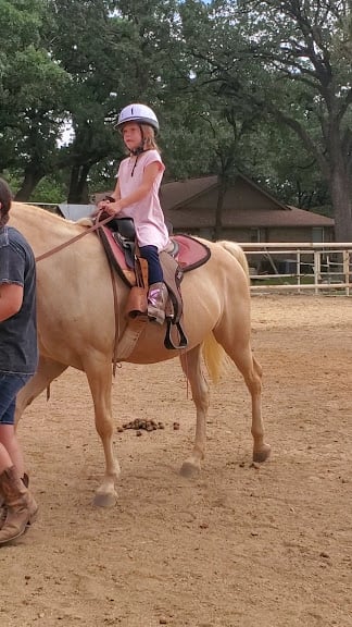 Golden Gaits — Arlington, Texas (3)