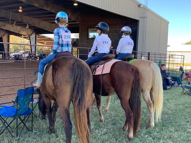 Golden Gaits