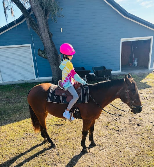 Golden Reintree Stables — Orlando, Florida (2)