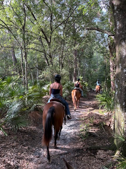 Golden Reintree Stables