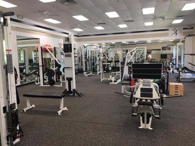 Good Bodies Fitness and Wellness