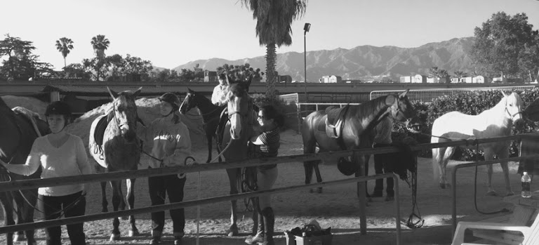 Good Pony, Inc.