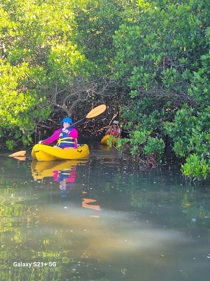 Good Vibes Kayak Rentals — St. Petersburg, Florida (2)