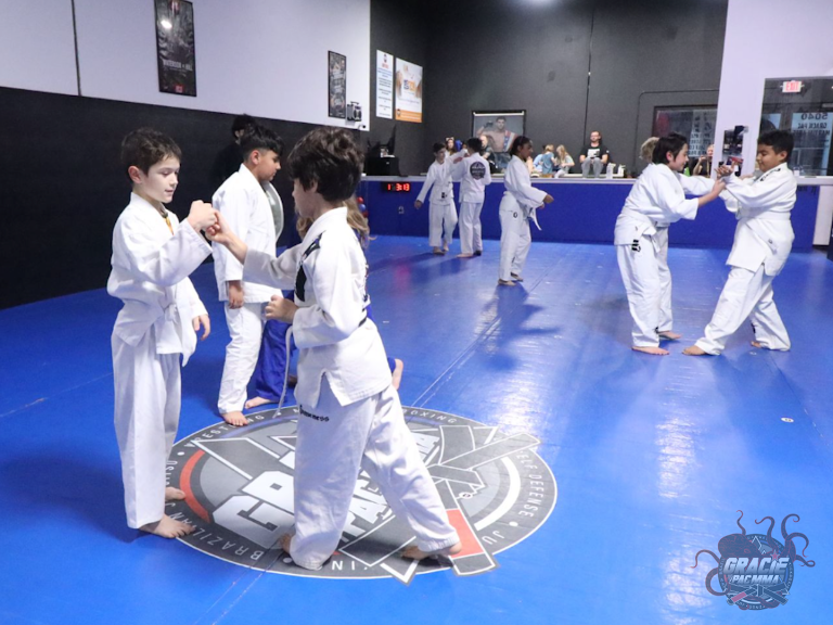 Gracie PAC MMA — Tampa, Florida (2)