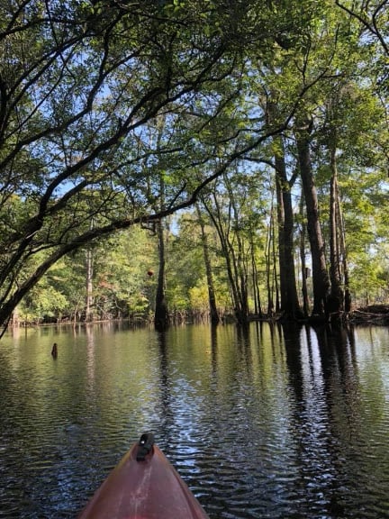 Great Escapes Kayaking Tours — sports venue in South Carolina