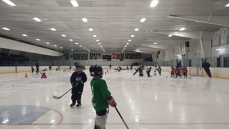 Grosse Pointe Community Ice — Detroit, Michigan (2)