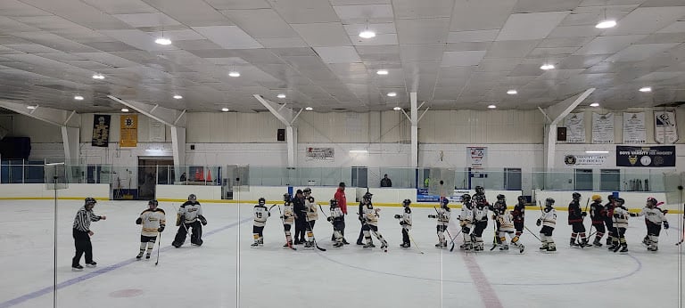 Grosse Pointe Community Ice — Detroit, Michigan (3)