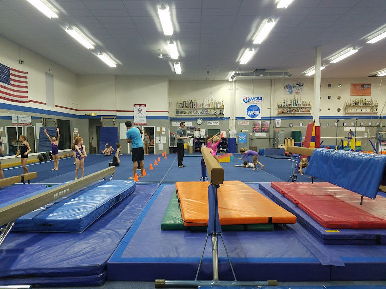Gymnastics Plus