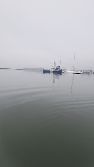 Half Moon Bay Kayak Co. — Half Moon Bay, California (3)