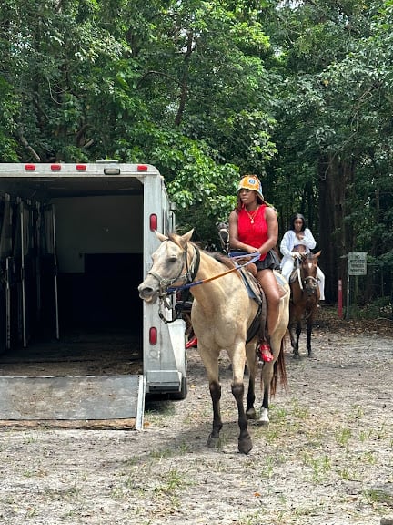 Harmony Horse Riding of South Beach