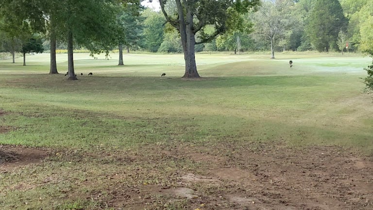 Harpeth Hills Golf Course — Nashville, Tennessee (2)