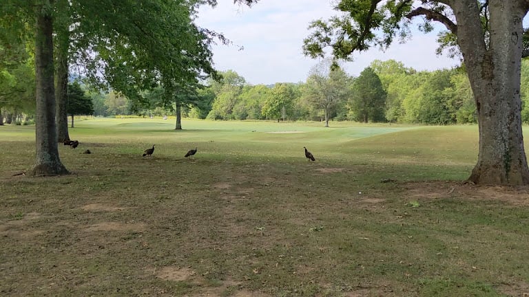 Harpeth Hills Golf Course — Nashville, Tennessee (3)