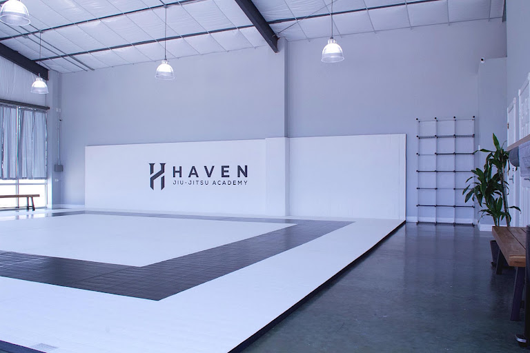 Haven Jiu-Jitsu Academy — Cypress, Texas (2)