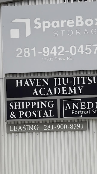 Haven Jiu-Jitsu Academy — Cypress, Texas (3)