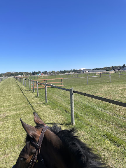 Heirloom Equestrian Center