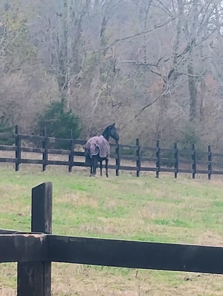 Hidden Acres Farm