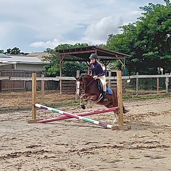 High Tide Equestrian Center — St. Petersburg, Florida (2)