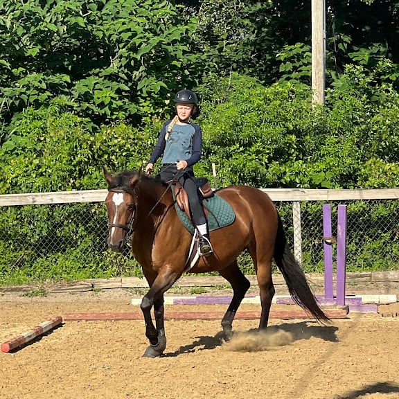 High Tide Equestrian Center — St. Petersburg, Florida (3)