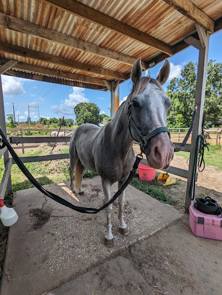 High Tide Equestrian Center