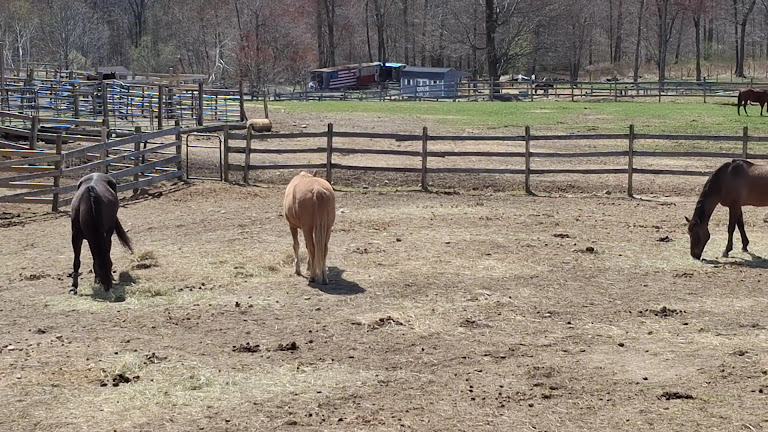 Hillside Equestrian Meadows — Wolcott, Connecticut (3)