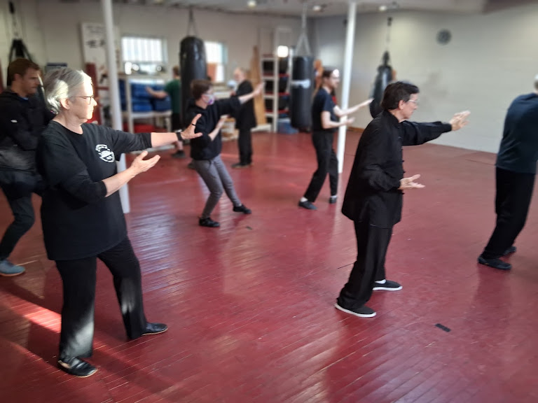 Ho-I Kung-Fu & Tai-Chi — Columbus, Ohio (3)