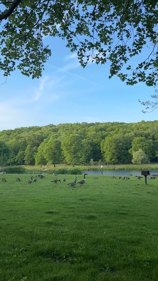 Hop Brook Golf Course — Naugatuck, Connecticut (3)
