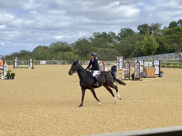 Horse Park at Woodside
