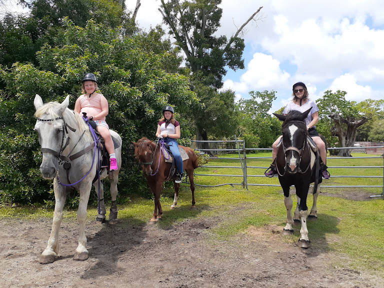 Horseback Riding Tours and Adventures Cypress Breeze Farm — Pinellas Park, Florida (2)