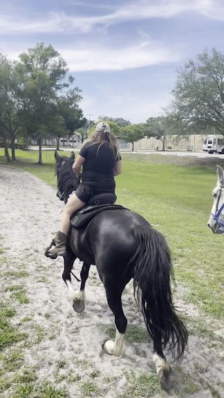 Horseback Riding Tours and Adventures Cypress Breeze Farm — Pinellas Park, Florida (3)