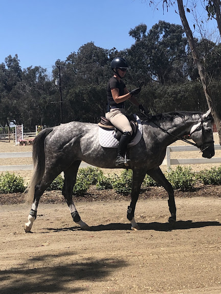 Horseplay Rentals — Huntington Beach, California (2)