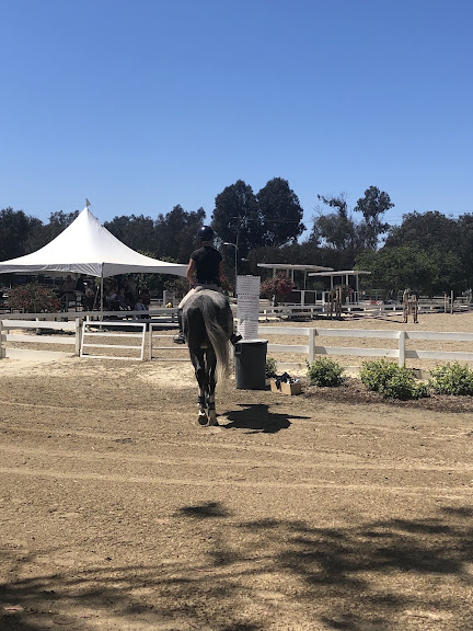 Horseplay Rentals