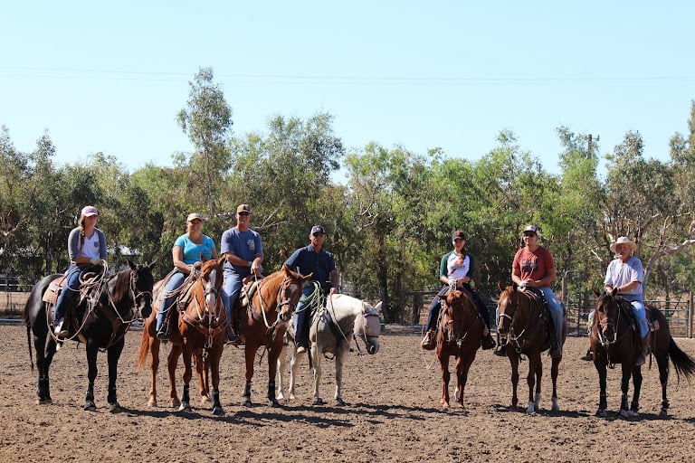 Horsequarters Boarding Stable