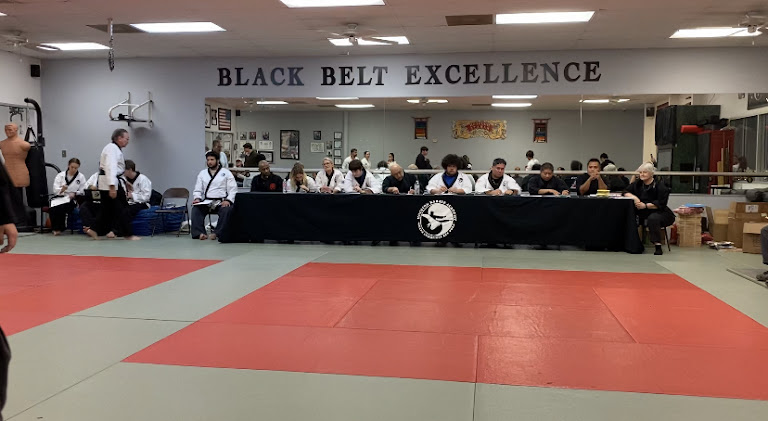 Houston Karate Academy — Houston, Texas (2)