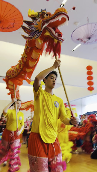 Houston Shaolin Kung Fu Academy — Houston, Texas (3)