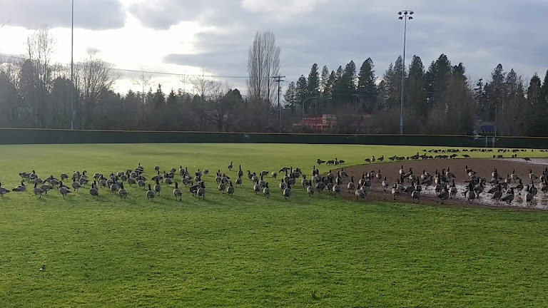 Howard M. Terpenning Recreation Complex — Beaverton, Oregon (3)