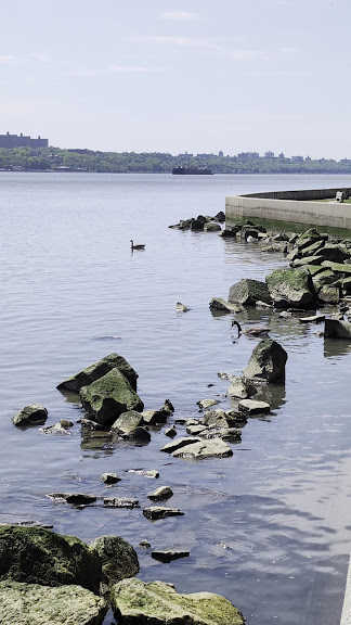 Hudson Kayaks Alpine NJ — Alpine, New Jersey (3)